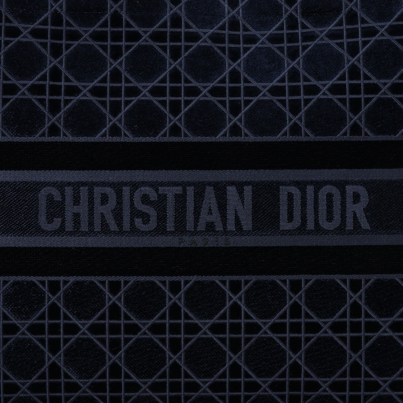 CHRISTIAN DIOR(USED)디올 북토트 라지